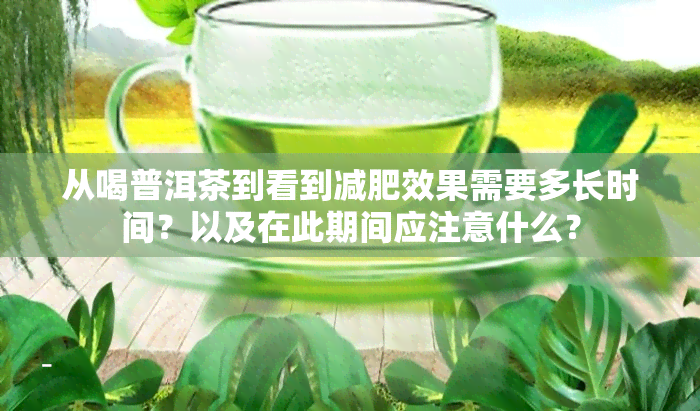 从喝普洱茶到看到减肥效果需要多长时间？以及在此期间应注意什么？