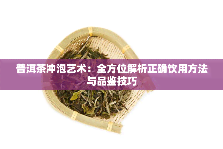 普洱茶冲泡艺术：全方位解析正确饮用方法与品鉴技巧