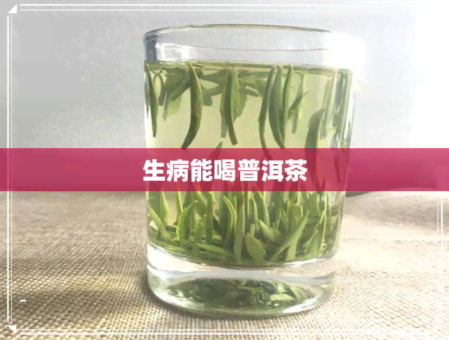 生病能喝普洱茶