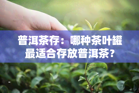 普洱茶存：哪种茶叶罐最适合存放普洱茶？