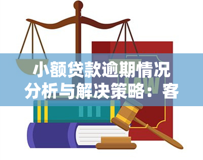 小额贷款逾期情况分析与解决策略：客户常见问题解答