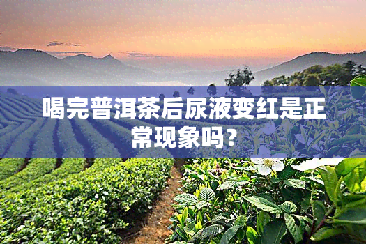 喝完普洱茶后尿液变红是正常现象吗？