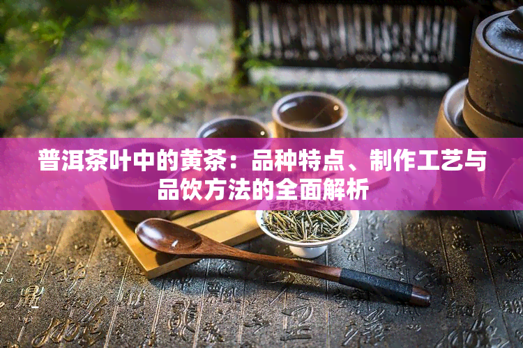 普洱茶叶中的黄茶：品种特点、制作工艺与品饮方法的全面解析