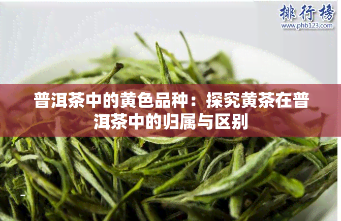 普洱茶中的黄色品种：探究黄茶在普洱茶中的归属与区别