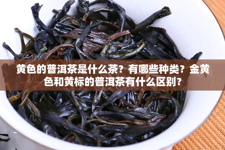 黄色的普洱茶是什么茶？有哪些种类？金黄色和黄标的普洱茶有什么区别？