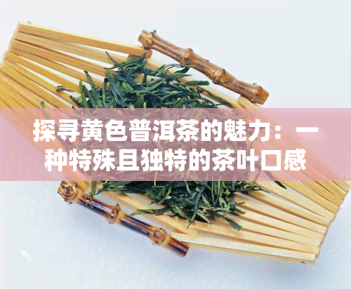 探寻黄色普洱茶的魅力：一种特殊且独特的茶叶口感体验