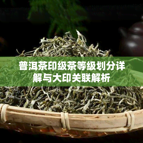 普洱茶印级茶等级划分详解与大印关联解析