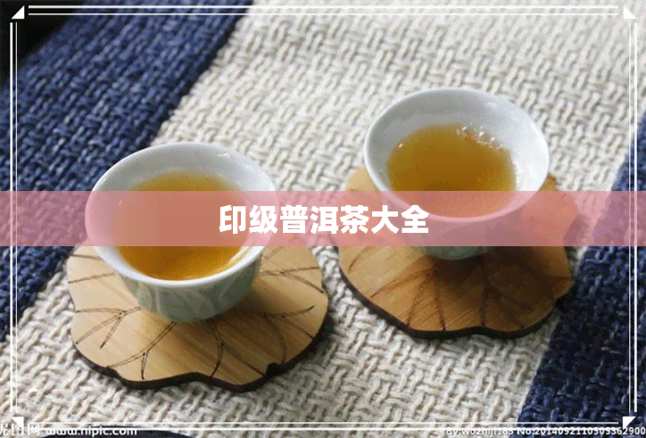 印级普洱茶大全