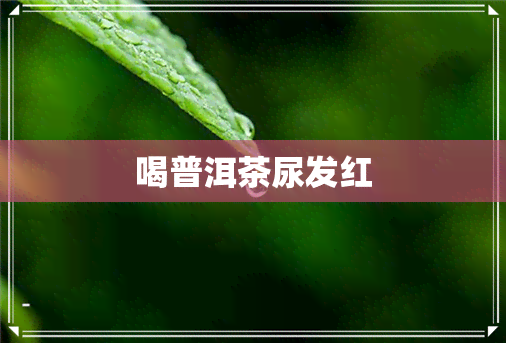 喝普洱茶尿发红