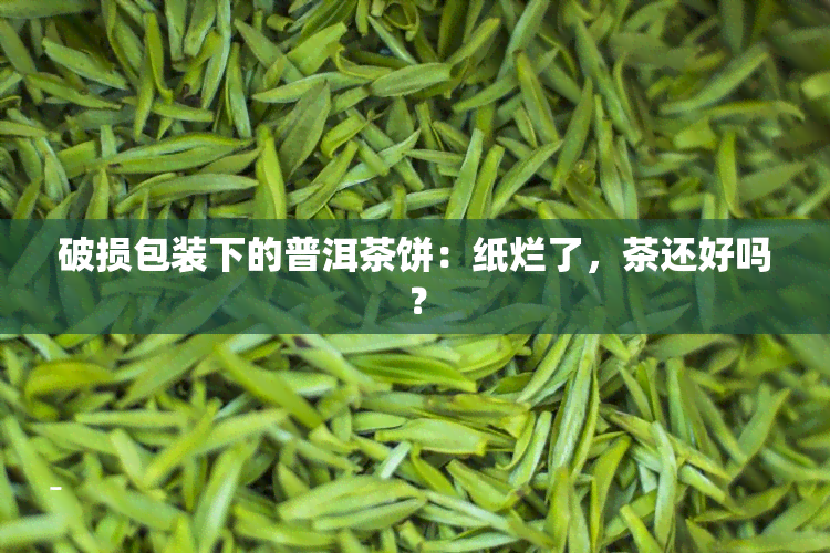 破损包装下的普洱茶饼：纸烂了，茶还好吗？