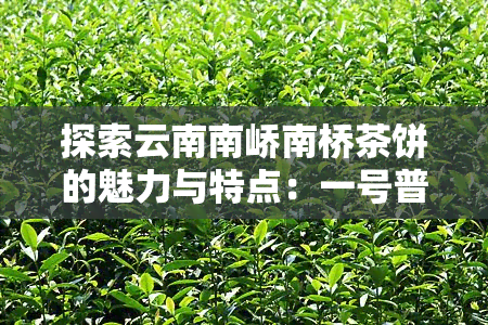 探索云南南峤南桥茶饼的魅力与特点：一号普洱茶怎么样？