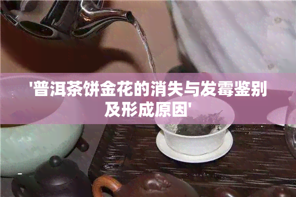 '普洱茶饼金花的消失与发霉鉴别及形成原因'