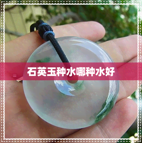 石英玉种水哪种水好