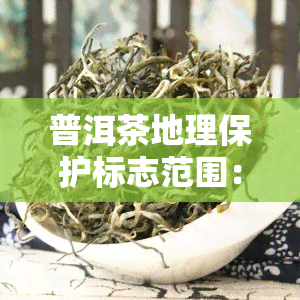 普洱茶地理保护标志范围：全面解析茶叶产区的地理特征、生态环境和保护措