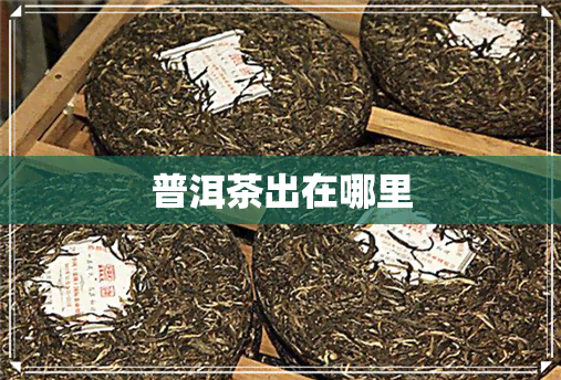 普洱茶出在哪里