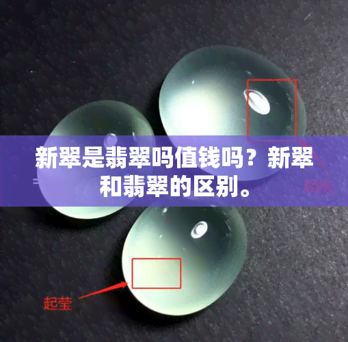 新翠是翡翠吗值钱吗？新翠和翡翠的区别。