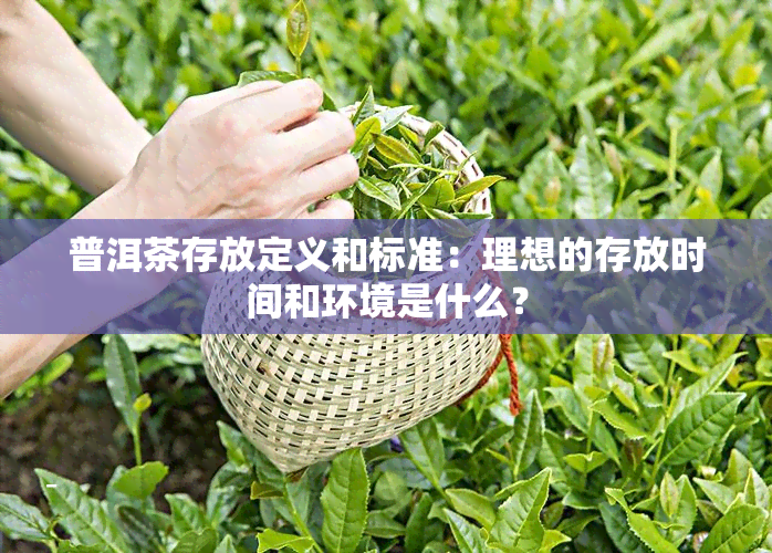 普洱茶存放定义和标准：理想的存放时间和环境是什么？