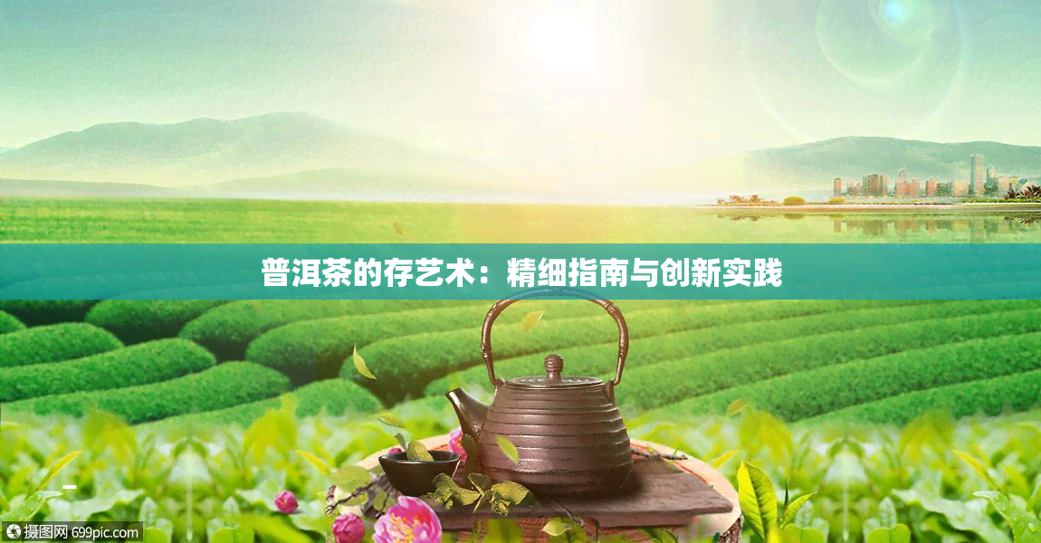 普洱茶的存艺术：精细指南与创新实践