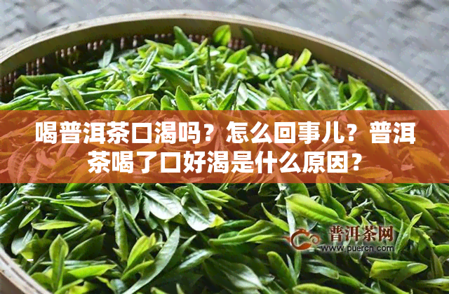 喝普洱茶口渴吗？怎么回事儿？普洱茶喝了口好渴是什么原因？