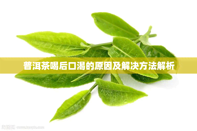 普洱茶喝后口渴的原因及解决方法解析