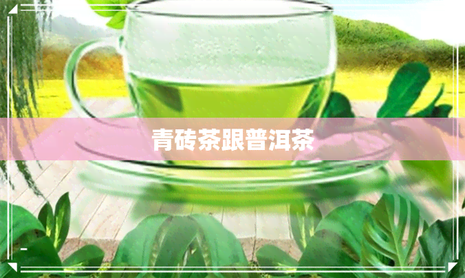 青砖茶跟普洱茶