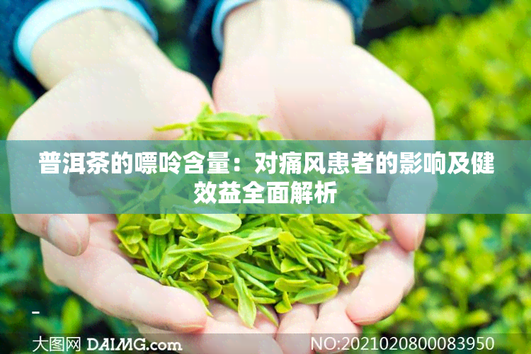 普洱茶的嘌呤含量：对痛风患者的影响及健效益全面解析