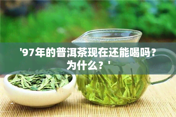 '97年的普洱茶现在还能喝吗？为什么？'