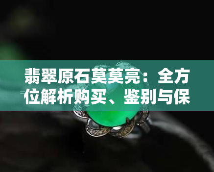 翡翠原石莫莫亮：全方位解析购买、鉴别与保养方法，助你成为专家