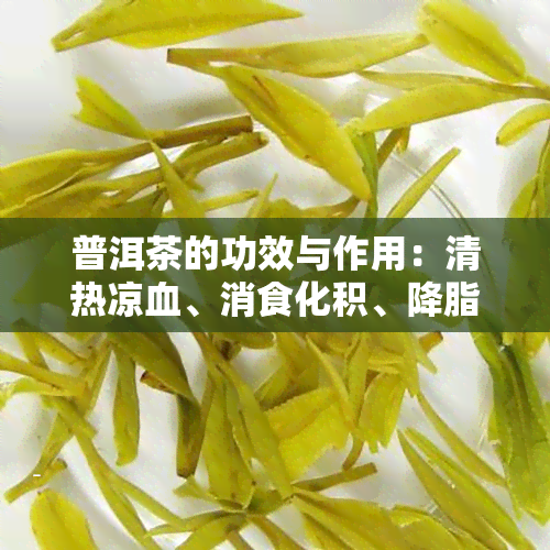 普洱茶的功效与作用：清热凉血、消食化积、降脂减肥等全方位解析