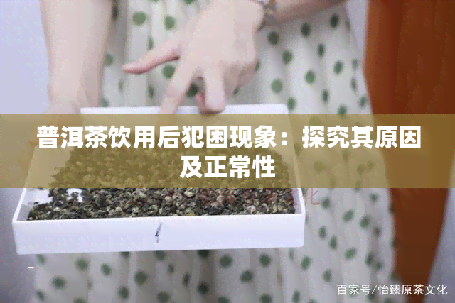 普洱茶饮用后犯困现象：探究其原因及正常性