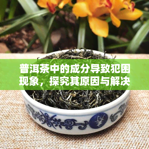 普洱茶中的成分导致犯困现象，探究其原因与解决方法