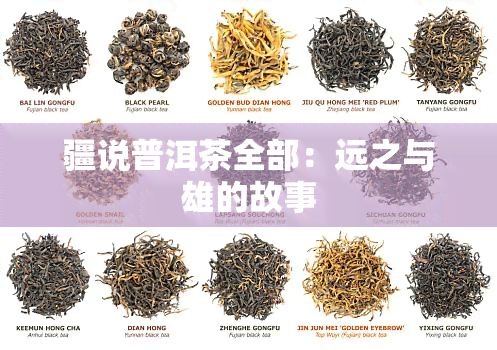 疆说普洱茶全部：远之与雄的故事