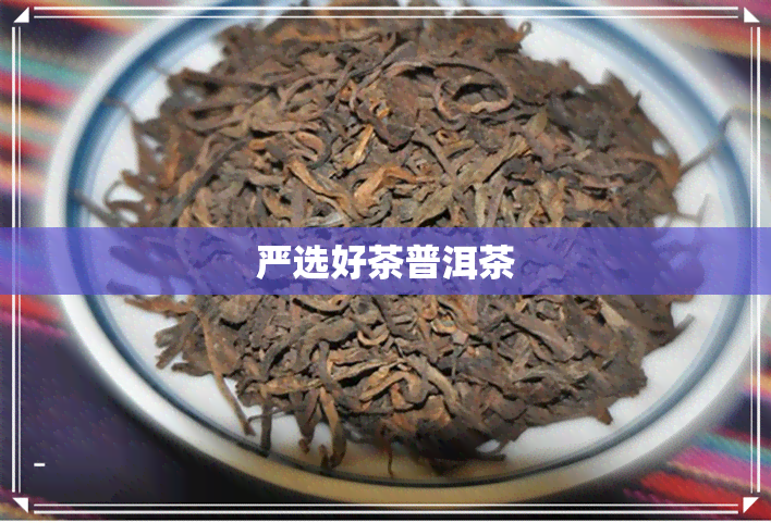 严选好茶普洱茶