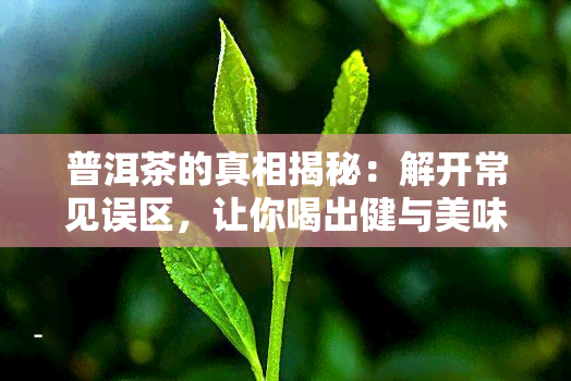 普洱茶的真相揭秘：解开常见误区，让你喝出健与美味