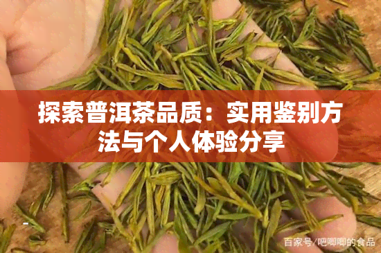 探索普洱茶品质：实用鉴别方法与个人体验分享