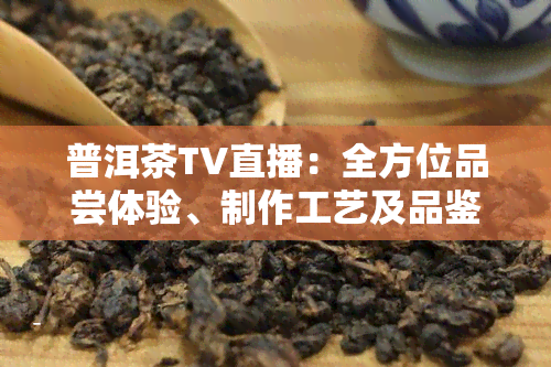 普洱茶TV直播：全方位品尝体验、制作工艺及品鉴技巧，助您深入了解普洱茶！