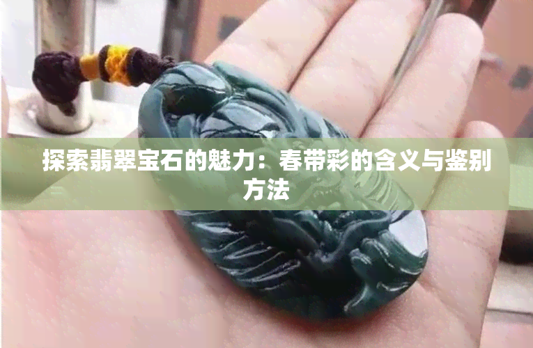 探索翡翠宝石的魅力：春带彩的含义与鉴别方法