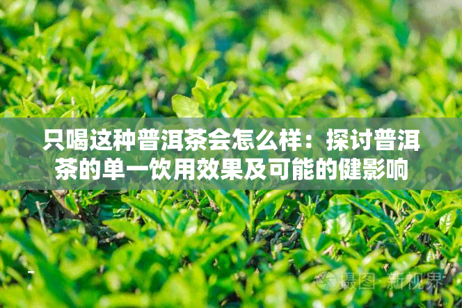 只喝这种普洱茶会怎么样：探讨普洱茶的单一饮用效果及可能的健影响