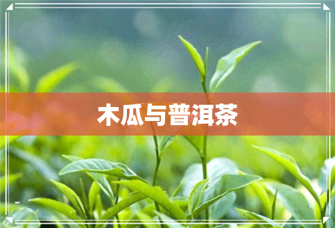 木瓜与普洱茶