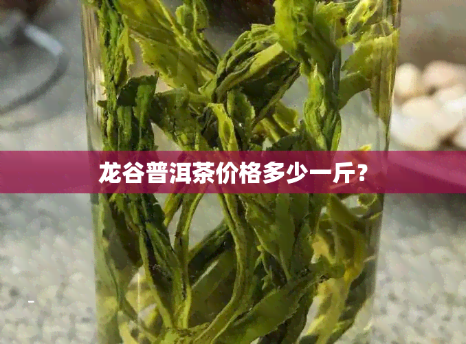 龙谷普洱茶价格多少一斤？