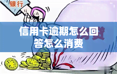 信用卡逾期怎么回答怎么消费