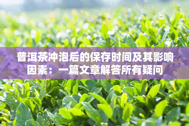 普洱茶冲泡后的保存时间及其影响因素：一篇文章解答所有疑问