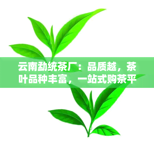 云南勐统茶厂：品质越，茶叶品种丰富，一站式购茶平台