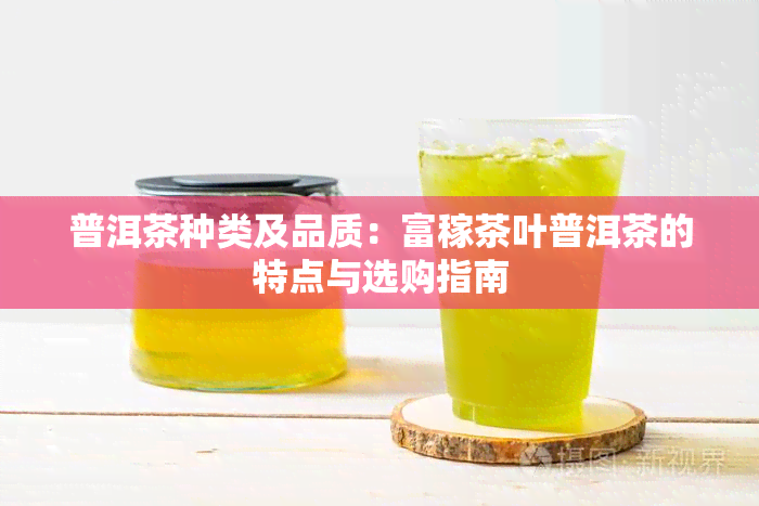 普洱茶种类及品质：富稼茶叶普洱茶的特点与选购指南