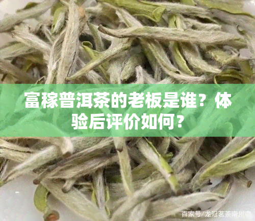 富稼普洱茶的老板是谁？体验后评价如何？