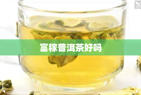 富稼普洱茶好吗