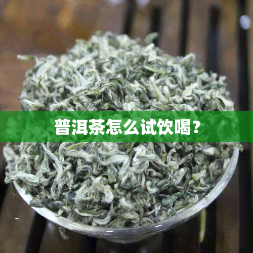 普洱茶怎么试饮喝？