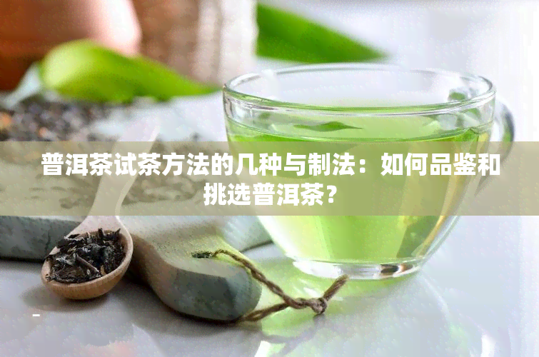 普洱茶试茶方法的几种与制法：如何品鉴和挑选普洱茶？