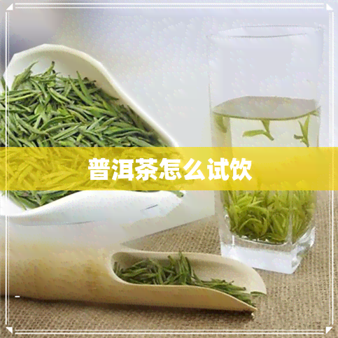 普洱茶怎么试饮