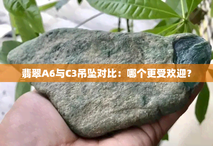 翡翠A6与C3吊坠对比：哪个更受欢迎？